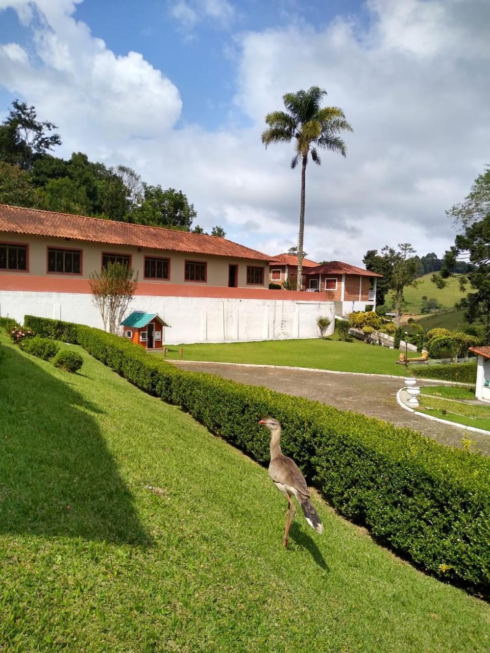 Pousada Pedacinho Do Ceu Suite Izah Cunha Exteriör bild